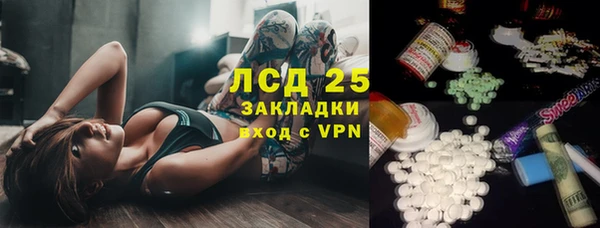 гидра Бородино
