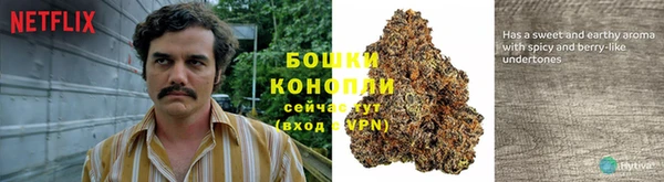 экстази Богородицк
